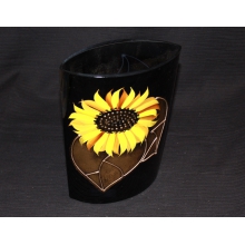 ���� � �����������